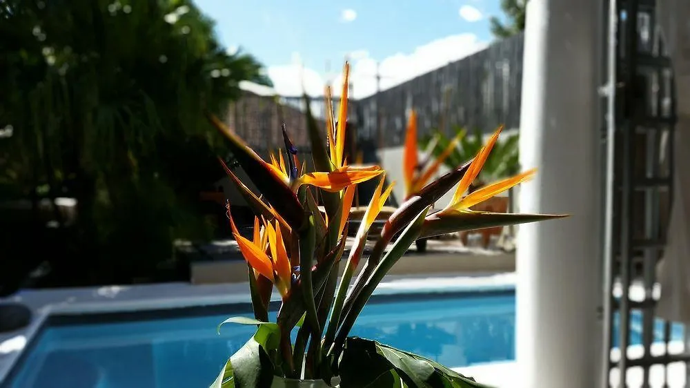 Jardin D'Ebene Boutique Guesthouse Cape Town